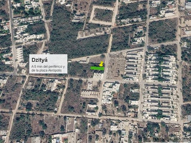 place photo 4