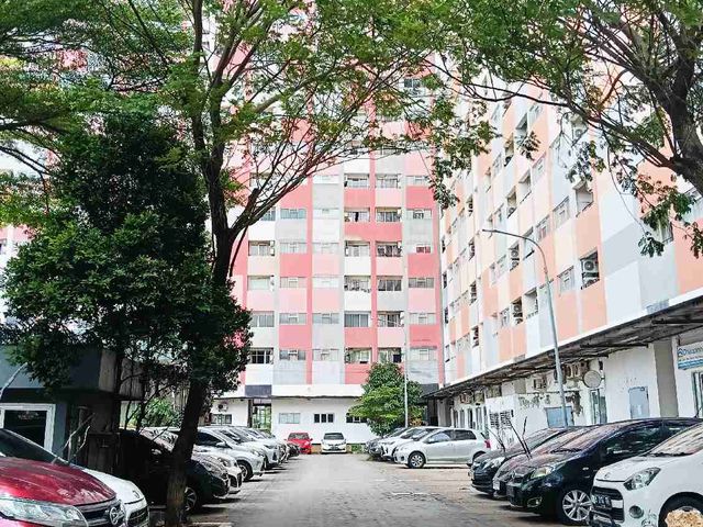 place photo 12
