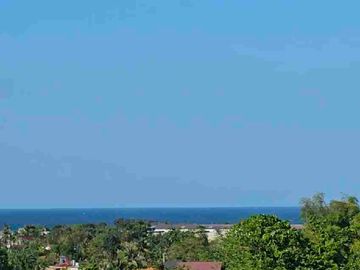 place photo 43