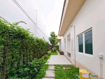 place photo 61