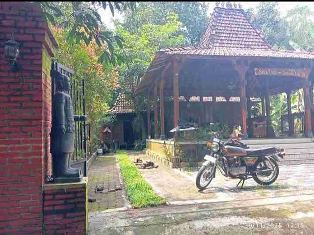 place photo 6