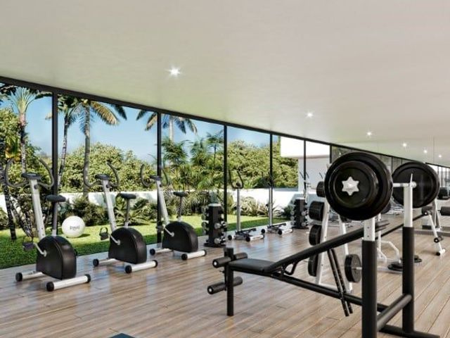 place photo 18
