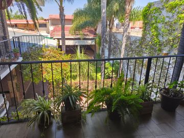 place photo 27