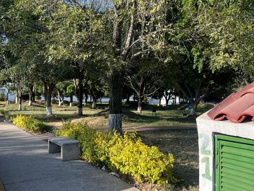 place photo 24