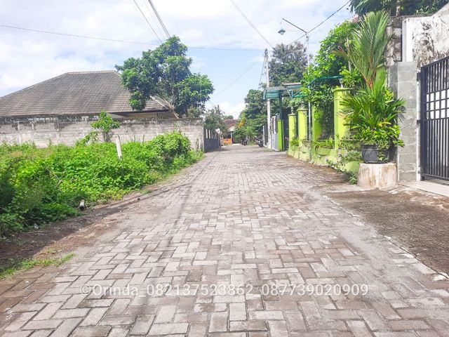 place photo 6