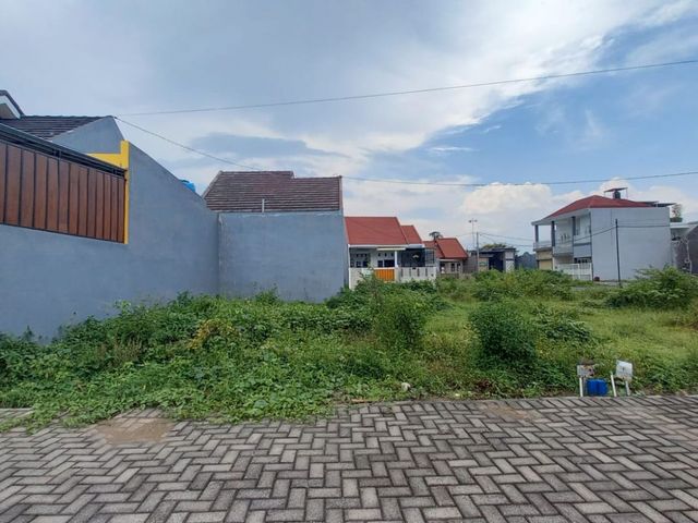 place photo 3