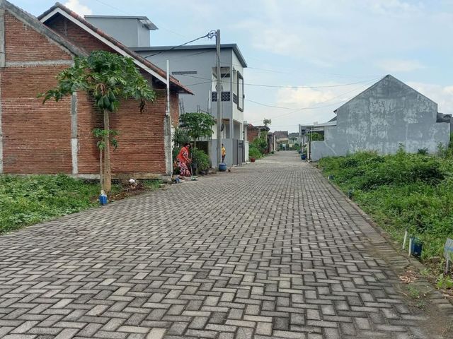 place photo 5