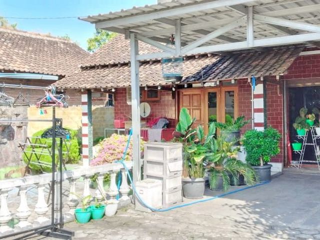 place photo 9