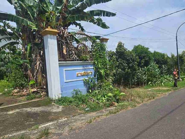 place photo 5
