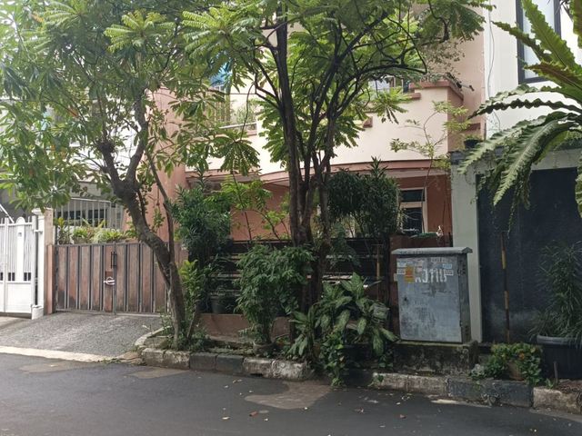 place photo 7
