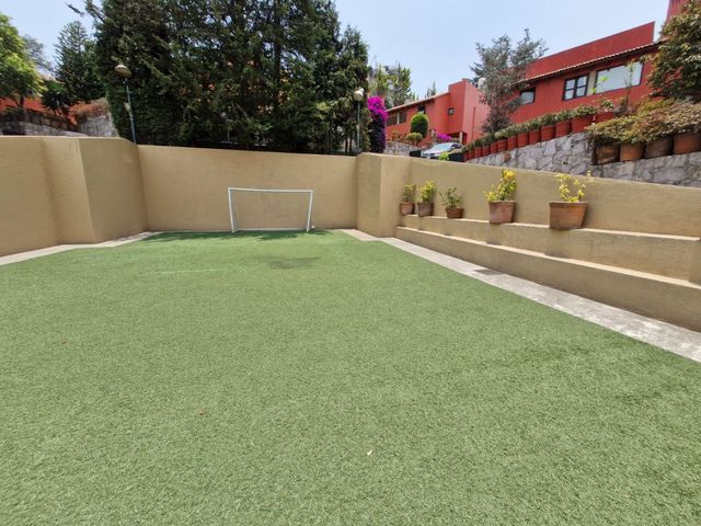 place photo 33