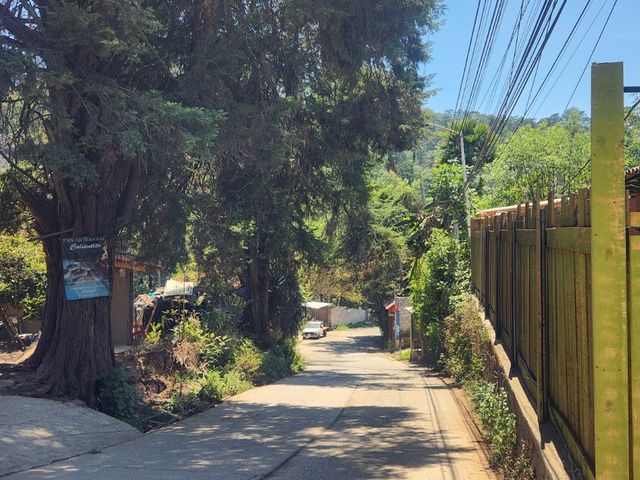 place photo 25