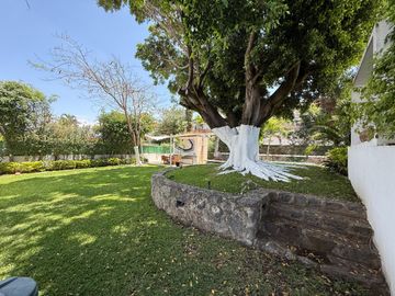 place photo 42