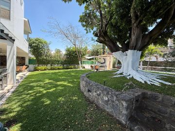 place photo 39