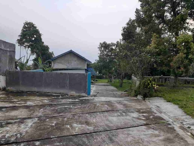 place photo 7