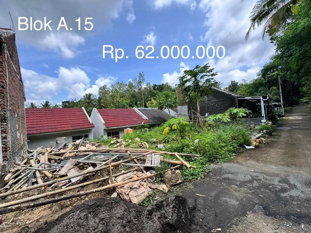 place photo 5