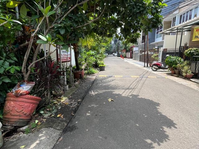 place photo 7