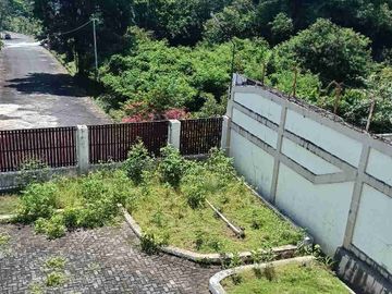 place photo 18
