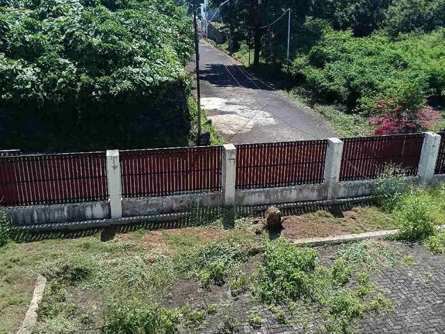 place photo 21