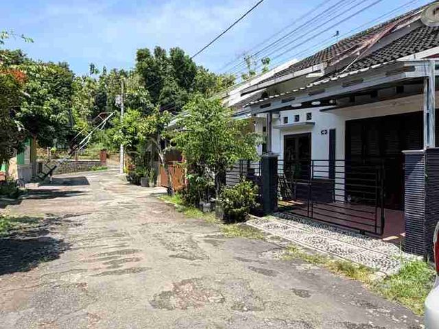 place photo 12
