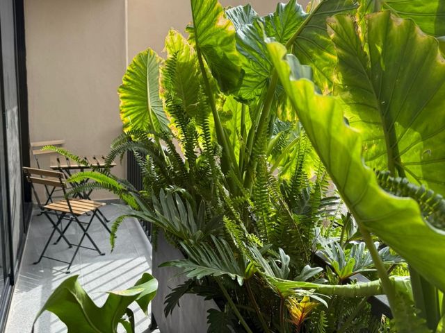 place photo 12