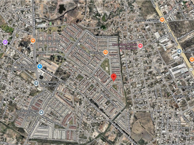 place photo 11