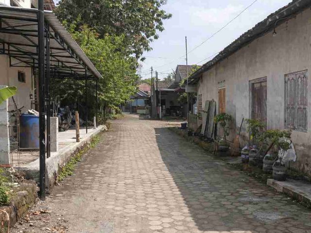 place photo 11