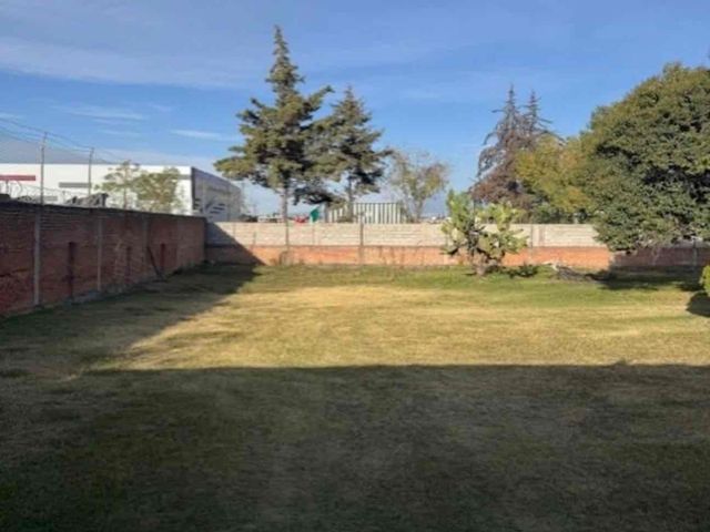 place photo 14