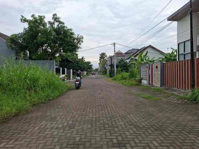 place photo 9