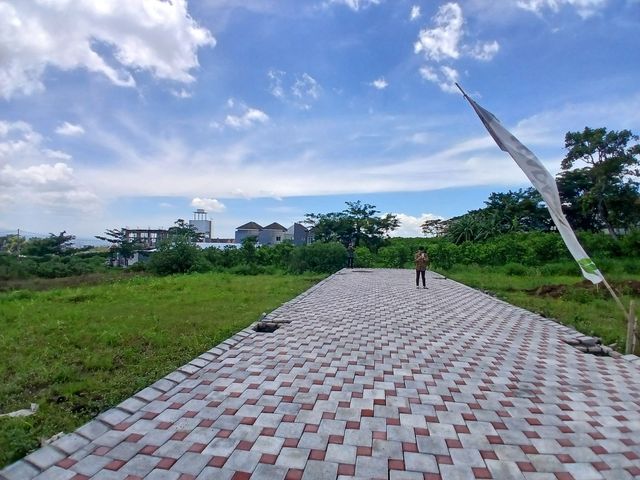 place photo 3