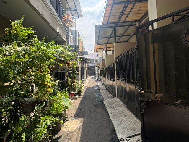 place photo 11