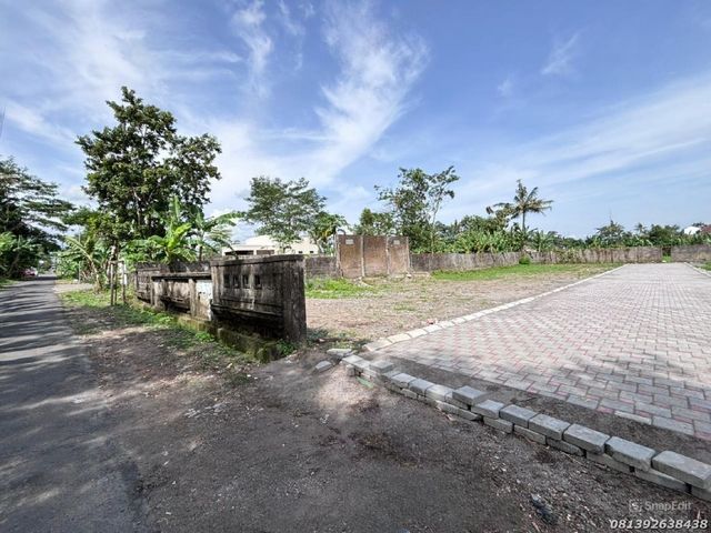 place photo 7