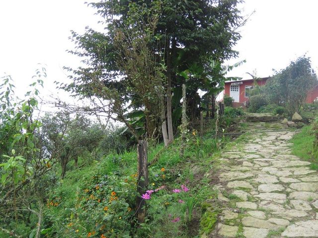 place photo 21