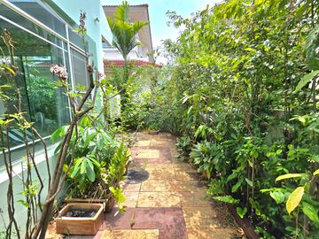 place photo 33