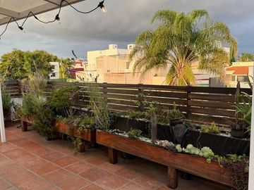 place photo 28