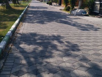 place photo 16