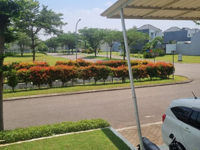 place photo 13
