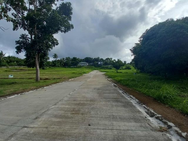 place photo 20
