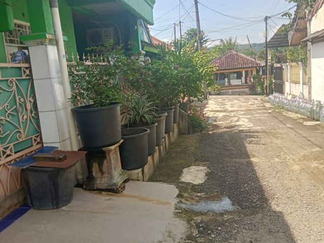 place photo 11