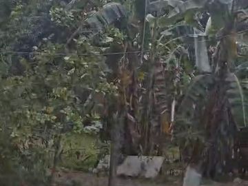 Ayala Magalang, Magalang, Pampanga Central Luzon, Calabarzon
