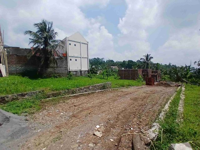 place photo 7