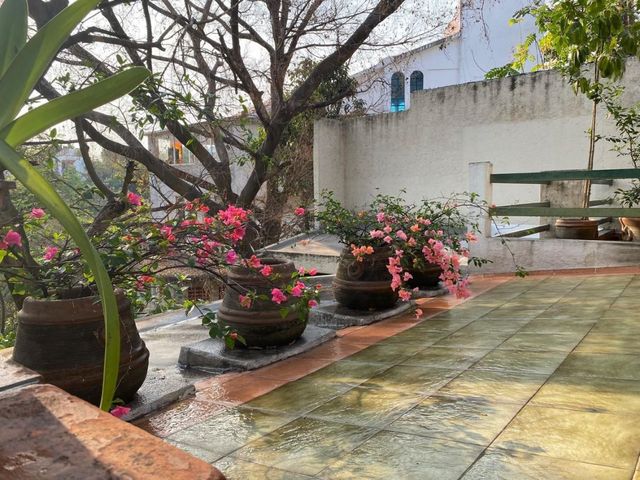 place photo 25