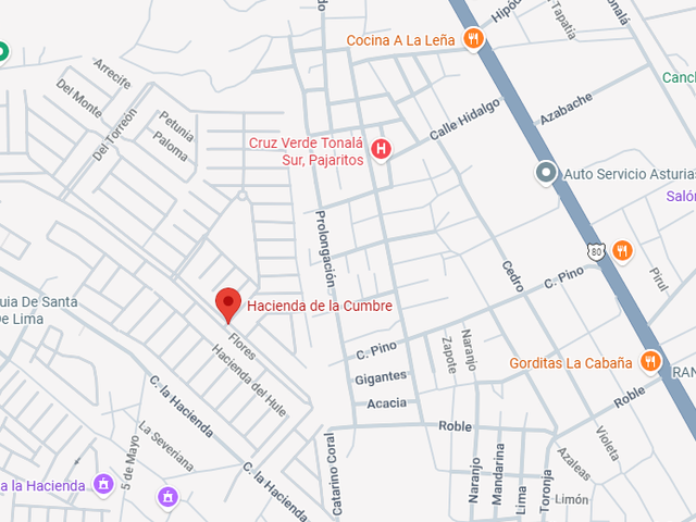 place photo 4