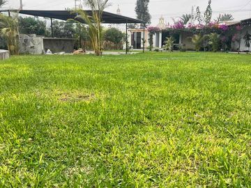 place photo 30