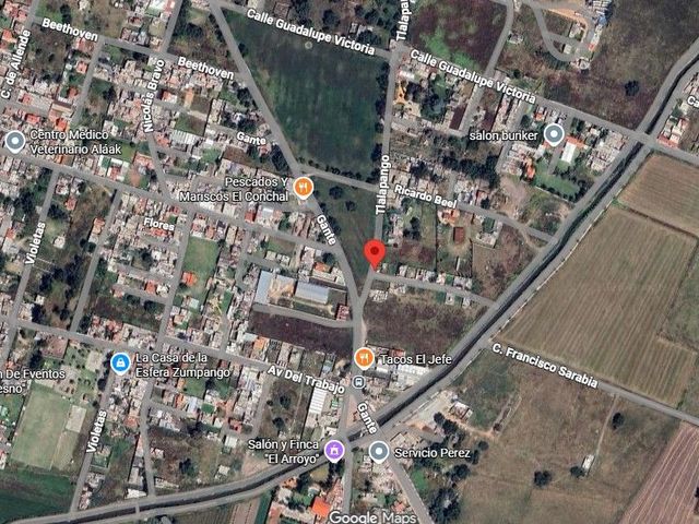 place photo 9