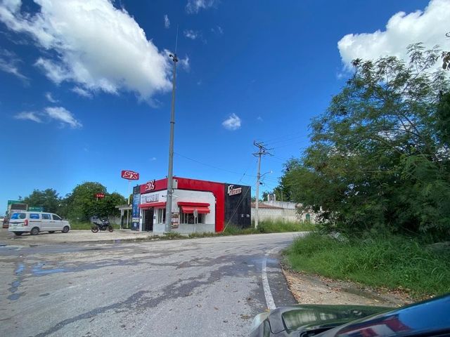 place photo 3