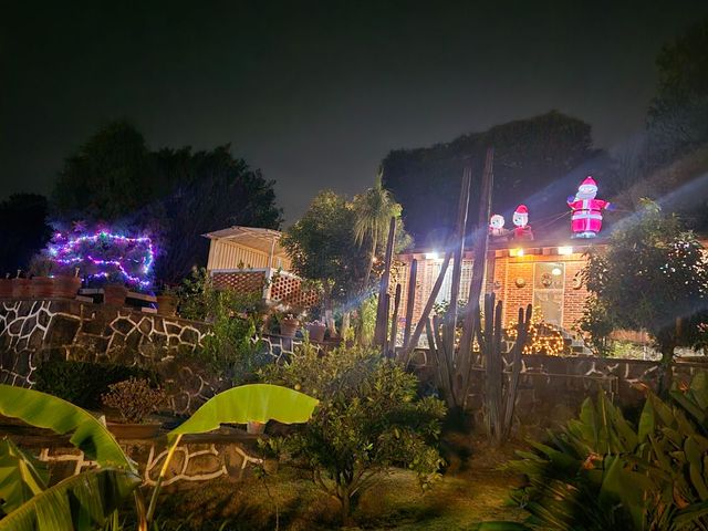 place photo 22