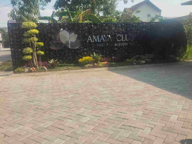 place photo 17