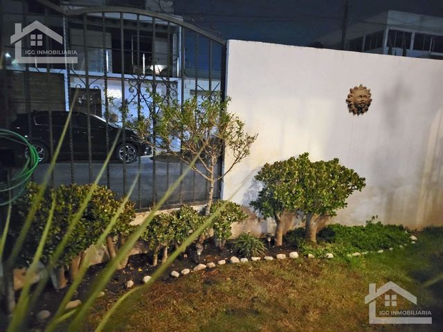 place photo 54