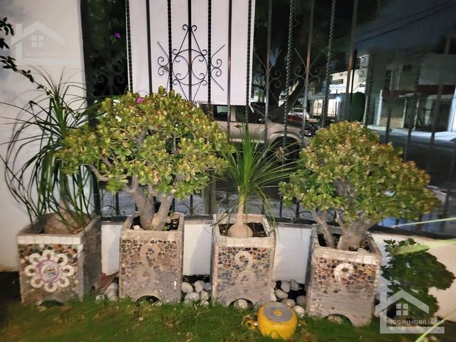 place photo 58